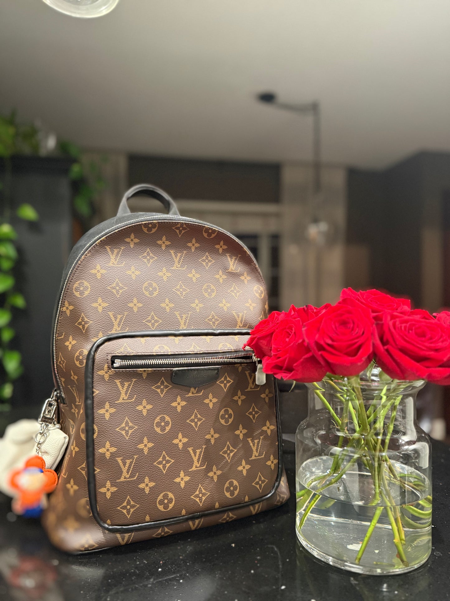 Louis Vuitton Monogram Macassar Josh Backpack